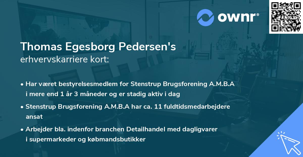 Thomas Egesborg Pedersen's erhvervskarriere kort