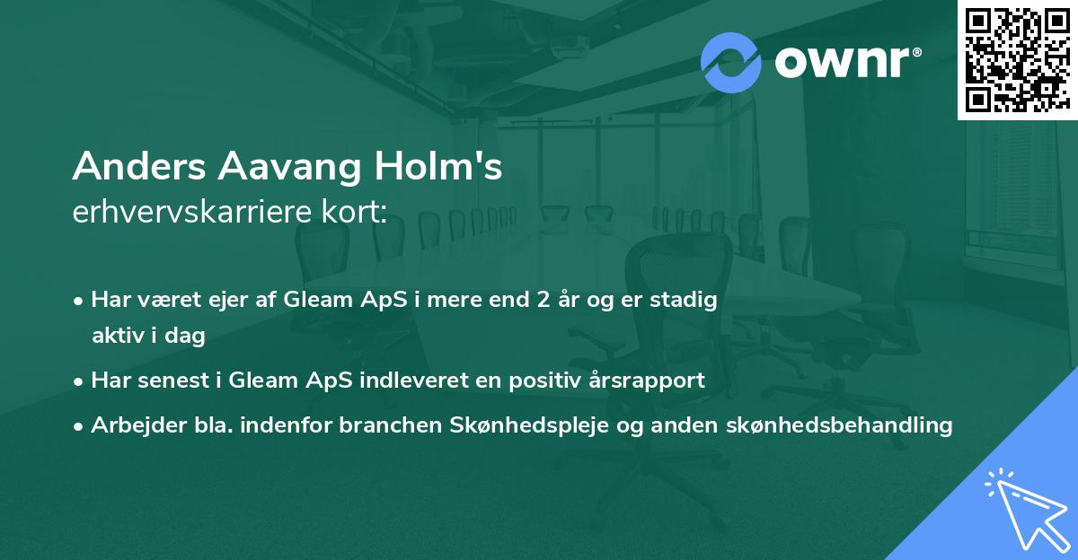 Anders Aavang Holm's erhvervskarriere kort