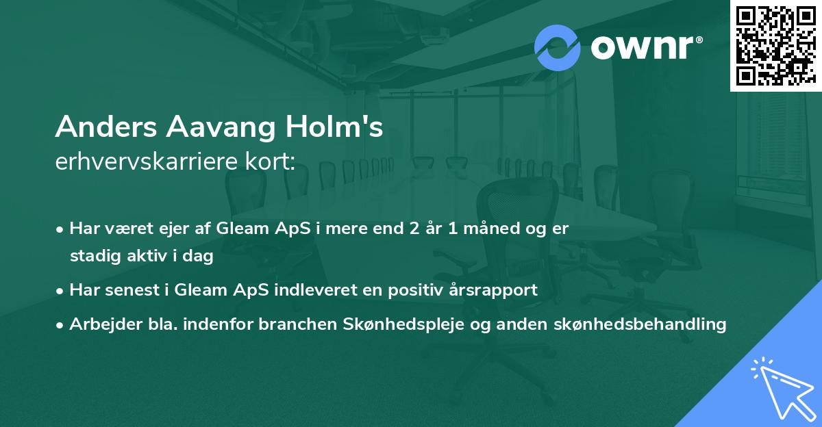 Anders Aavang Holm's erhvervskarriere kort
