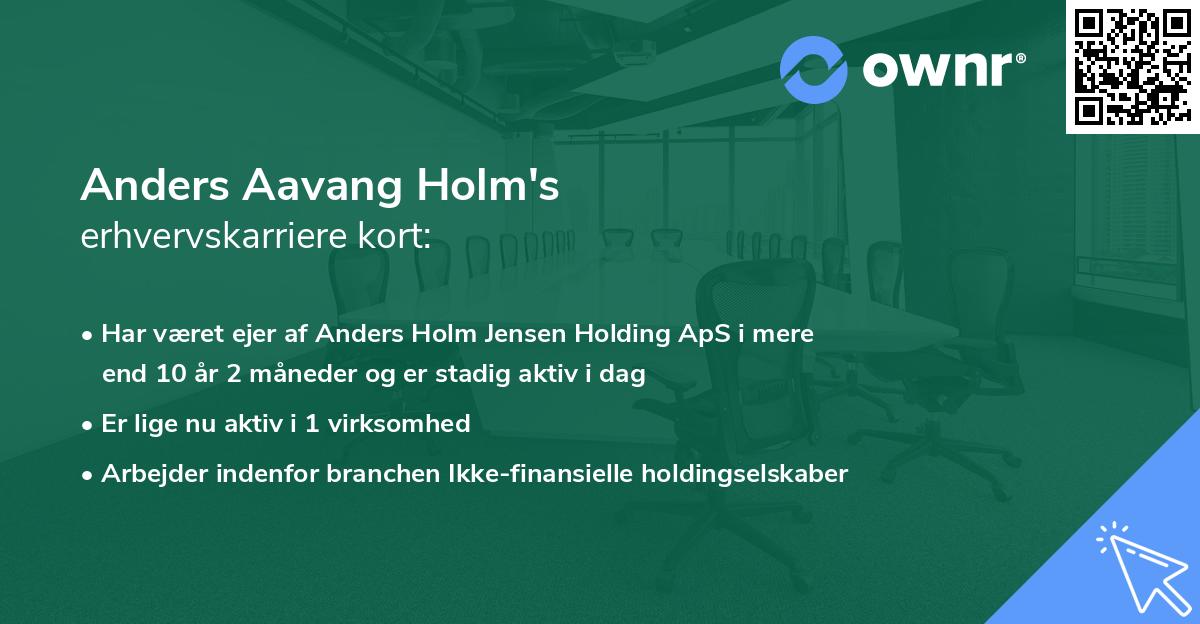Anders Aavang Holm's erhvervskarriere kort