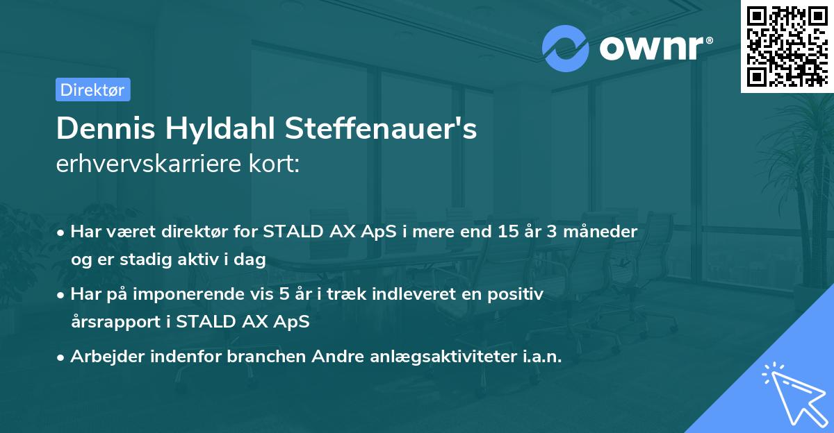 Dennis Hyldahl Steffenauer's erhvervskarriere kort