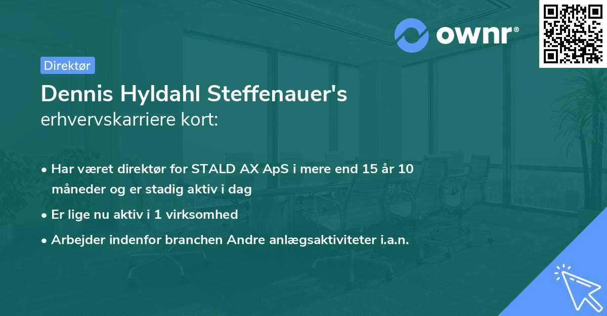 Dennis Hyldahl Steffenauer's erhvervskarriere kort