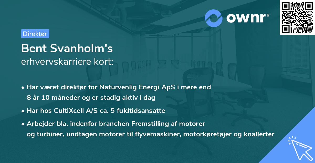Bent Svanholm's erhvervskarriere kort
