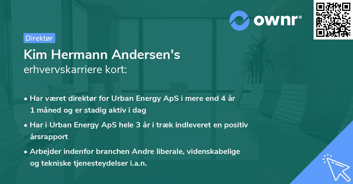 Kim Hermann Andersen's erhvervskarriere kort