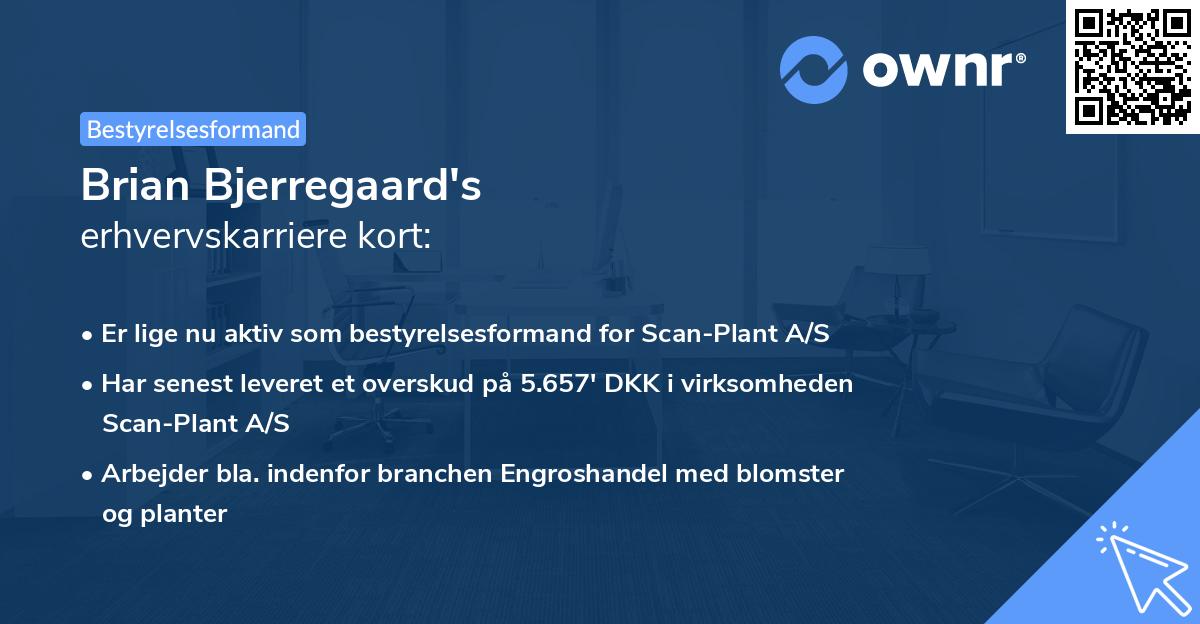 Brian Bjerregaard's erhvervskarriere kort