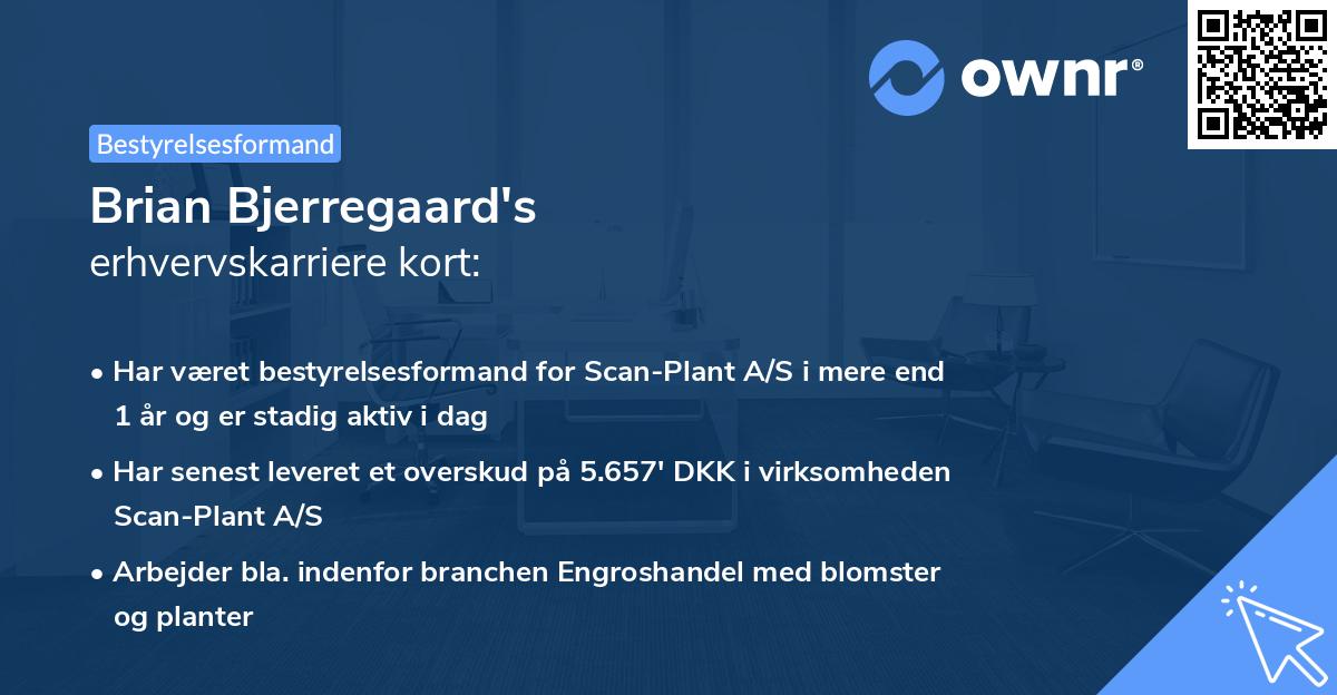 Brian Bjerregaard's erhvervskarriere kort