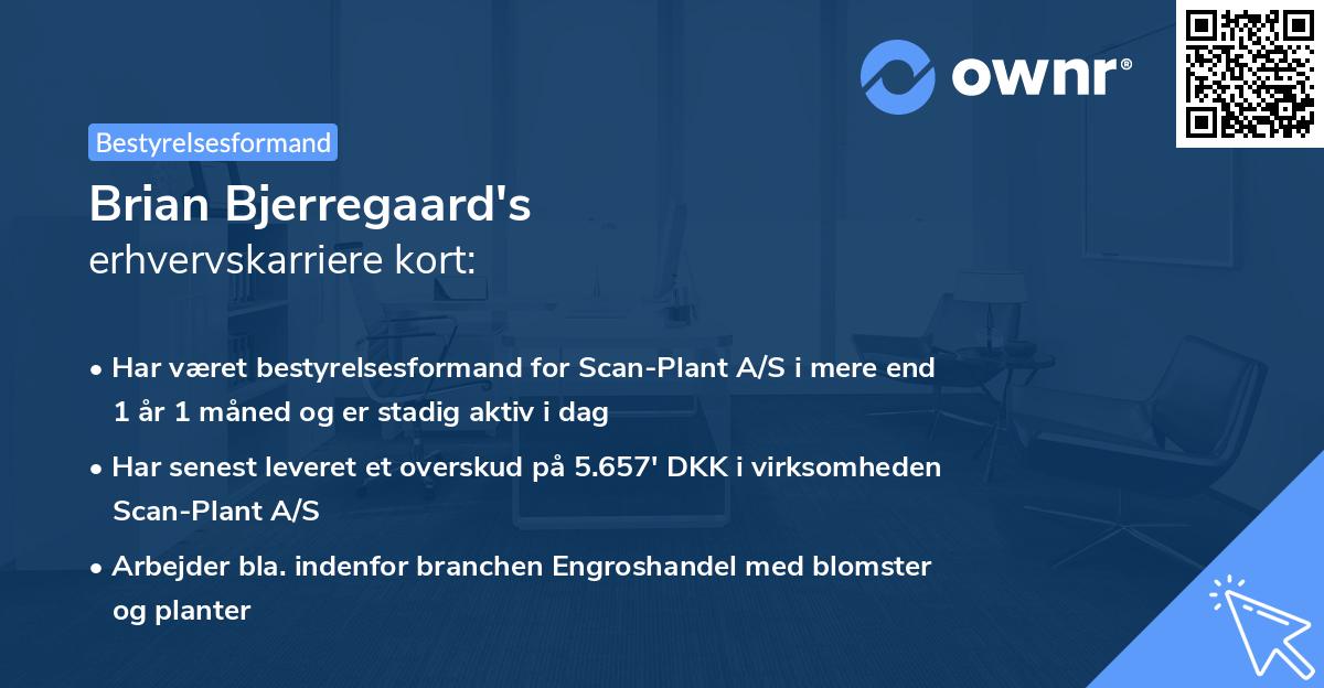 Brian Bjerregaard's erhvervskarriere kort