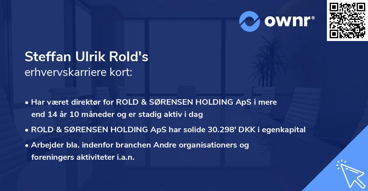 Steffan Ulrik Rold's erhvervskarriere kort