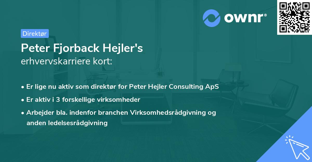 Peter Fjorback Hejler's erhvervskarriere kort