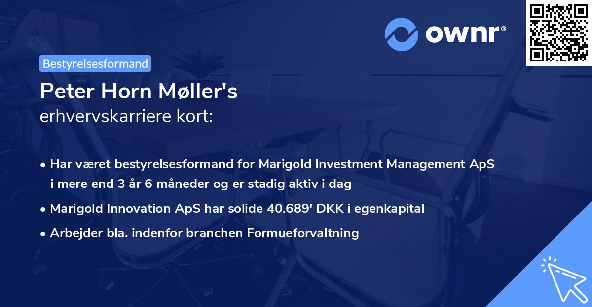 Peter Horn Møller's erhvervskarriere kort