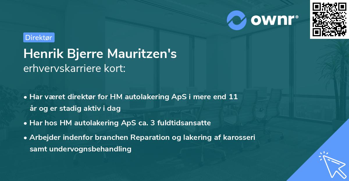 Henrik Bjerre Mauritzen's erhvervskarriere kort
