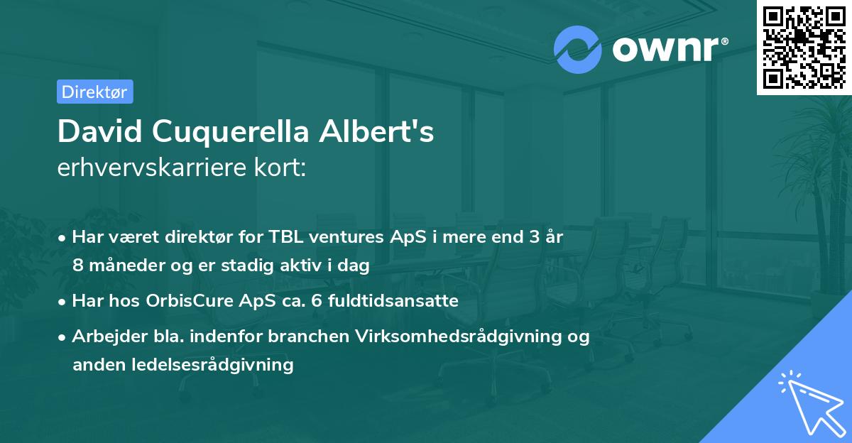 David Cuquerella Albert's erhvervskarriere kort