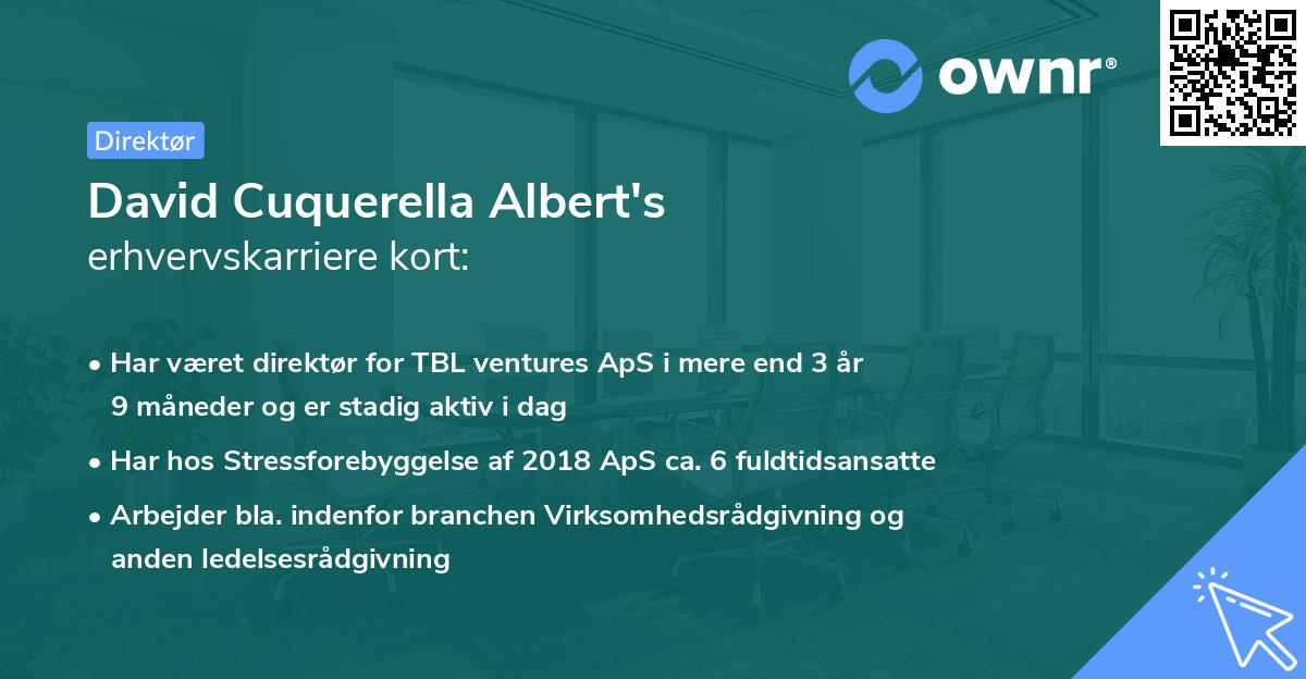 David Cuquerella Albert's erhvervskarriere kort