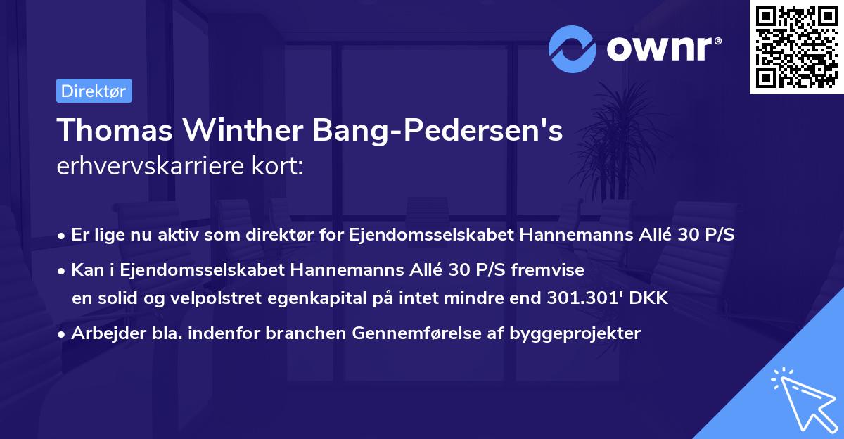 Thomas Winther Bang-Pedersen's erhvervskarriere kort