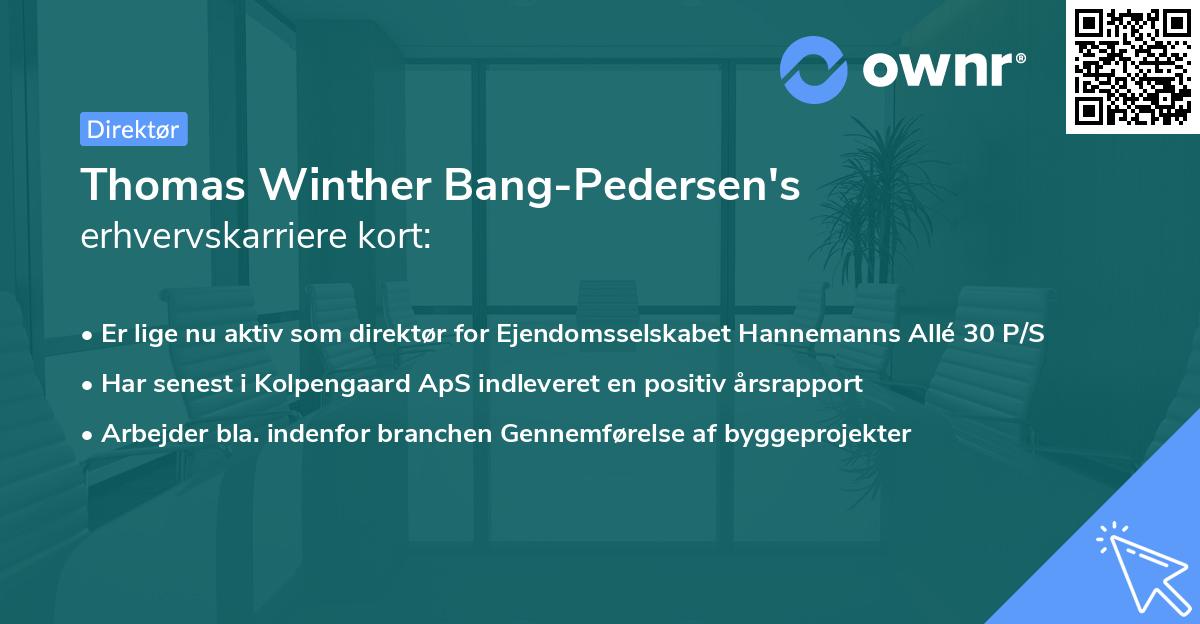 Thomas Winther Bang-Pedersen's erhvervskarriere kort