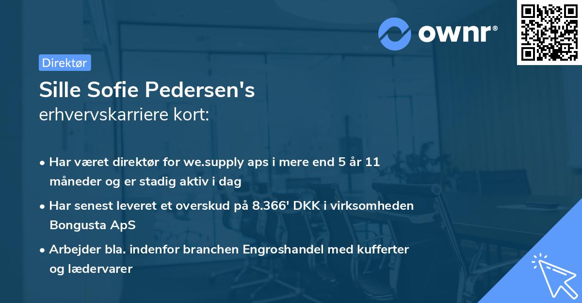 Sille Sofie Pedersen's erhvervskarriere kort