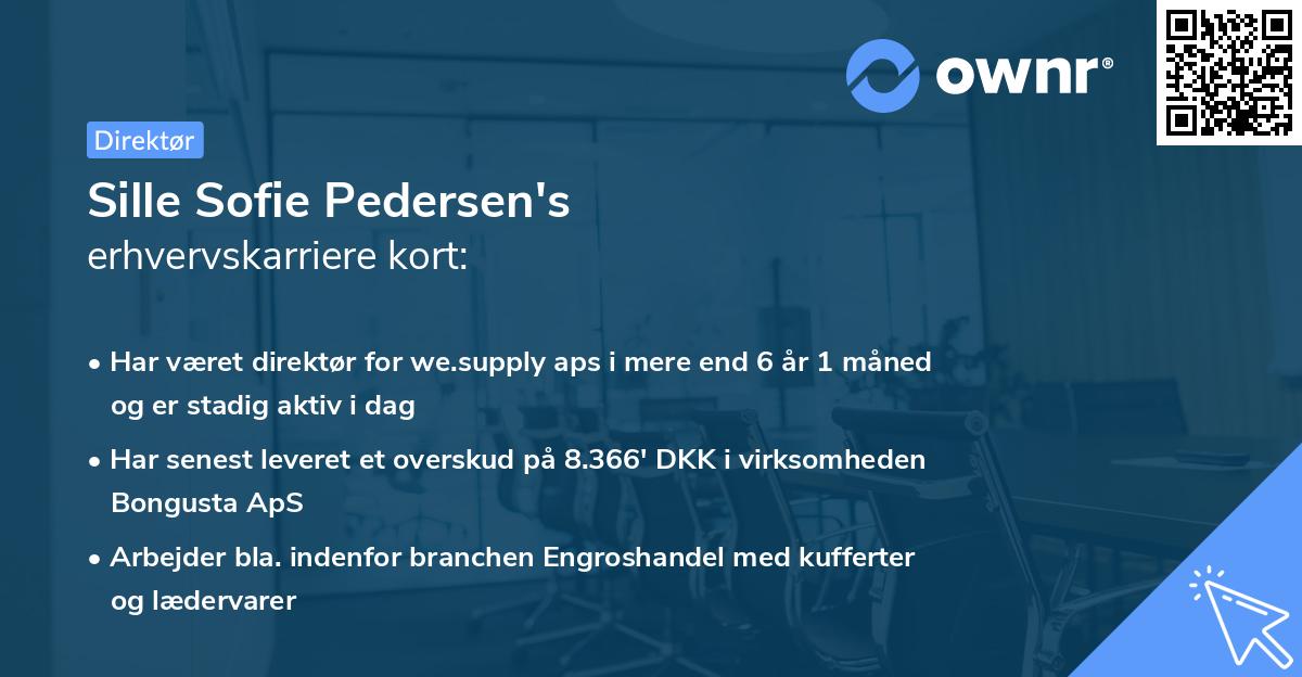 Sille Sofie Pedersen's erhvervskarriere kort