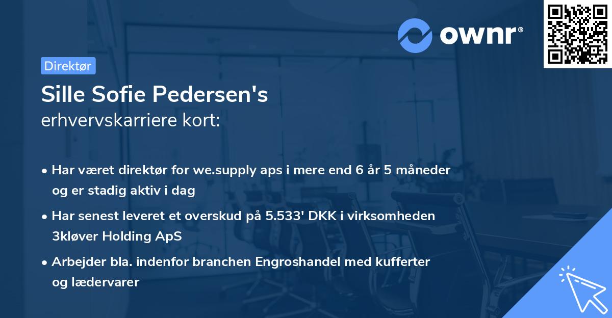 Sille Sofie Pedersen's erhvervskarriere kort