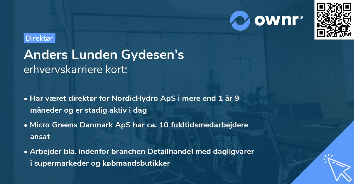 Anders Lunden Gydesen's erhvervskarriere kort
