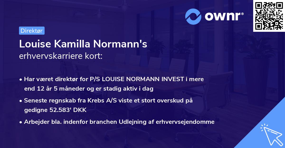 Louise Kamilla Normann's erhvervskarriere kort