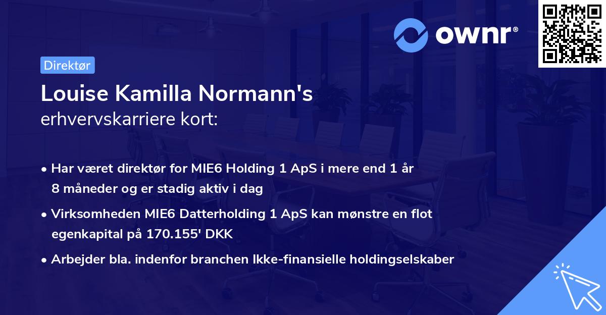 Louise Kamilla Normann's erhvervskarriere kort