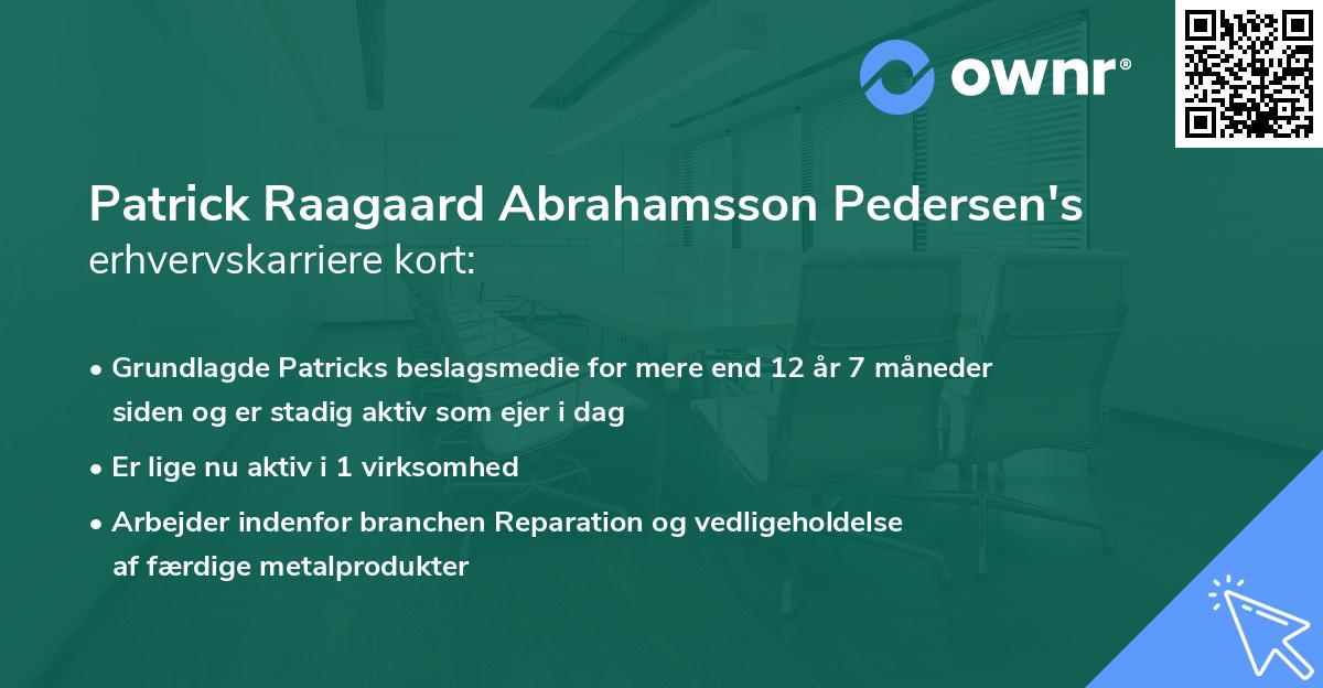 Patrick Raagaard Abrahamsson Pedersen's erhvervskarriere kort