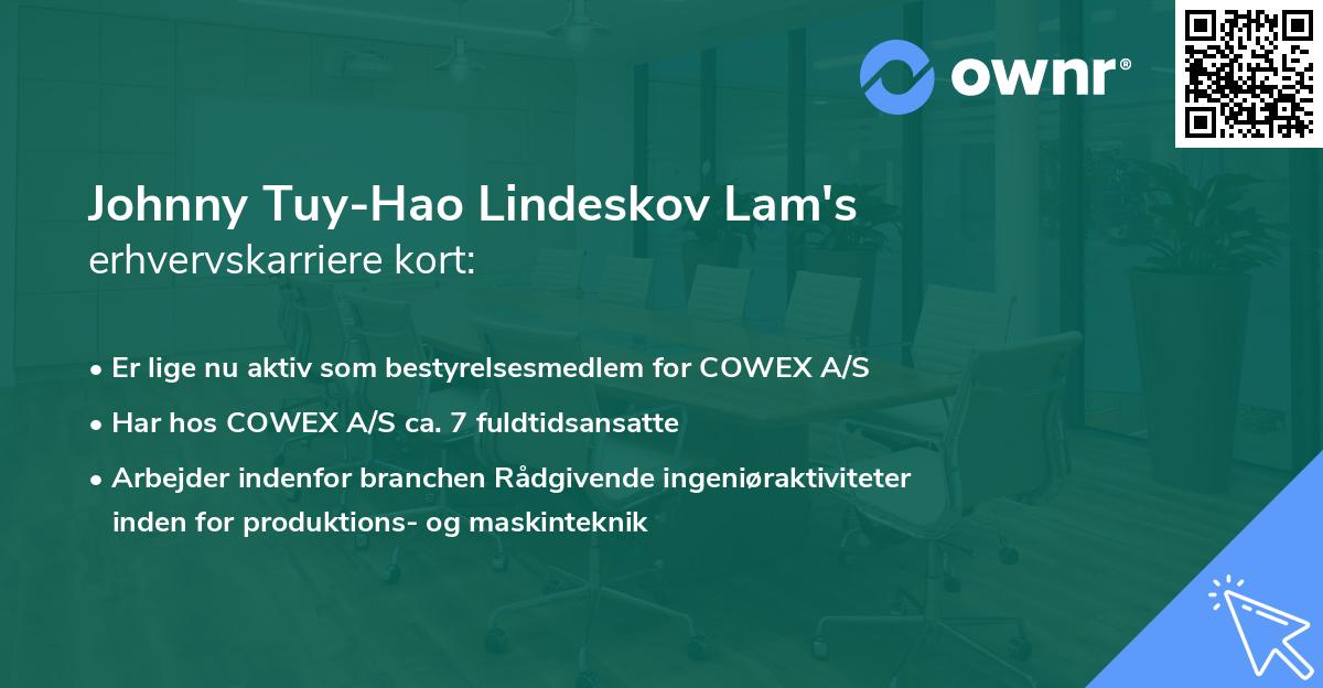 Johnny Tuy-Hao Lindeskov Lam's erhvervskarriere kort