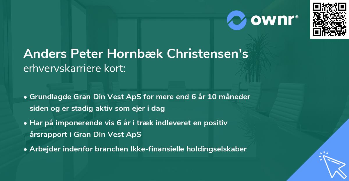 Anders Peter Hornbæk Christensen's erhvervskarriere kort