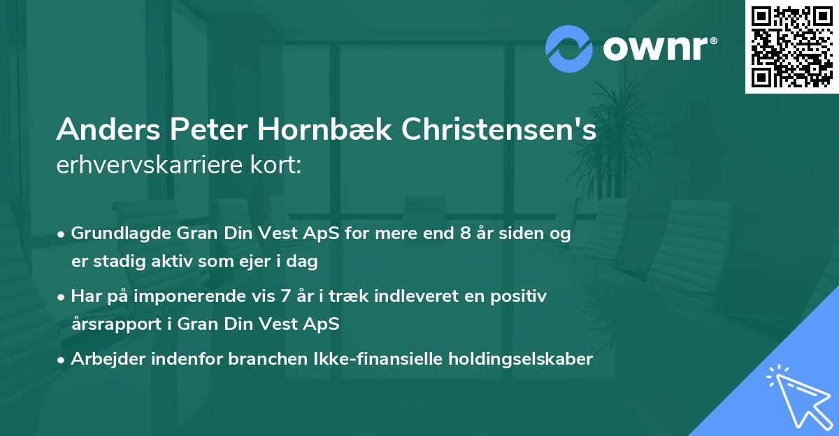 Anders Peter Hornbæk Christensen's erhvervskarriere kort