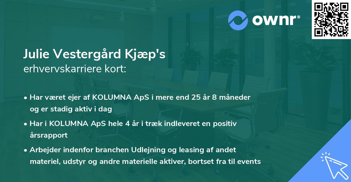 Julie Vestergård Kjæp's erhvervskarriere kort