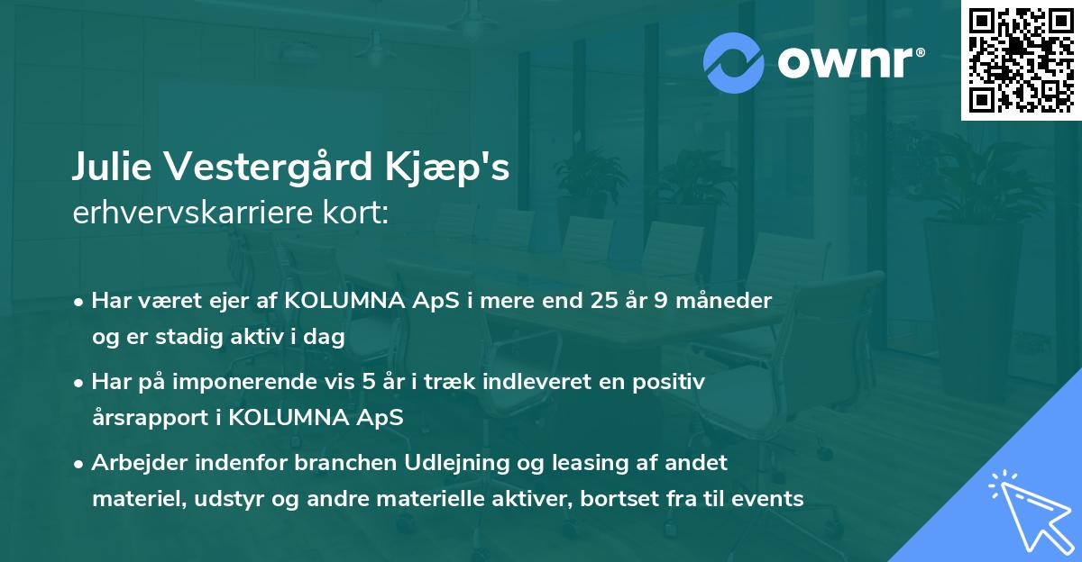 Julie Vestergård Kjæp's erhvervskarriere kort