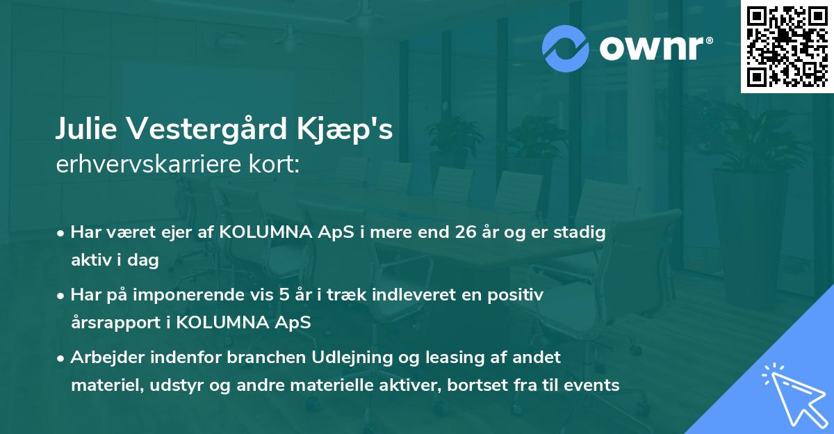 Julie Vestergård Kjæp's erhvervskarriere kort