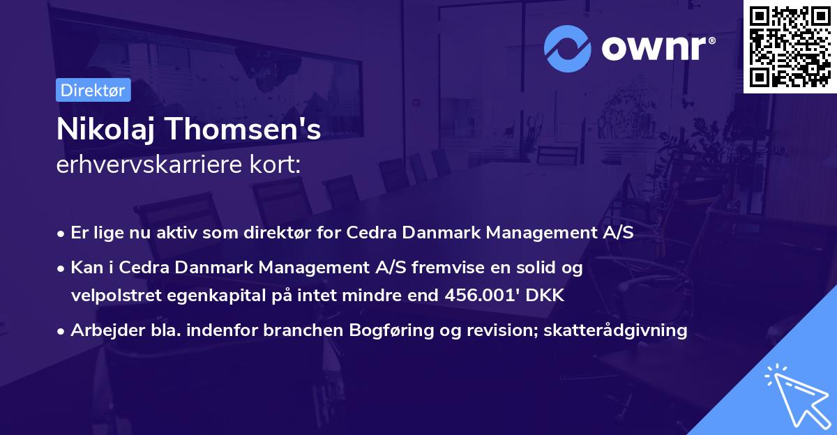 Nikolaj Thomsen's erhvervskarriere kort