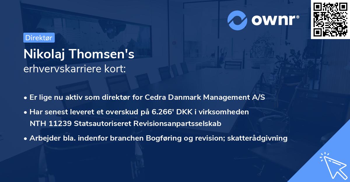 Nikolaj Thomsen's erhvervskarriere kort