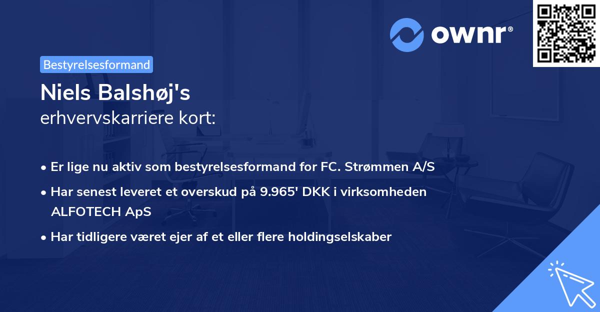 Niels Balshøj's erhvervskarriere kort