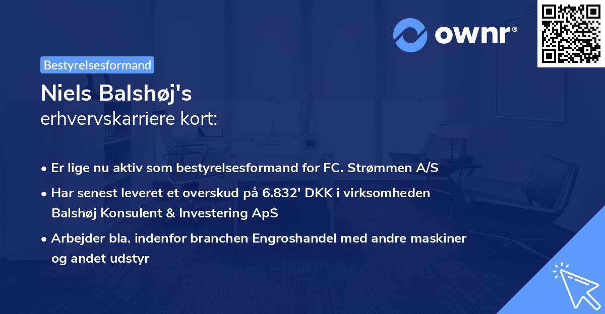 Niels Balshøj's erhvervskarriere kort