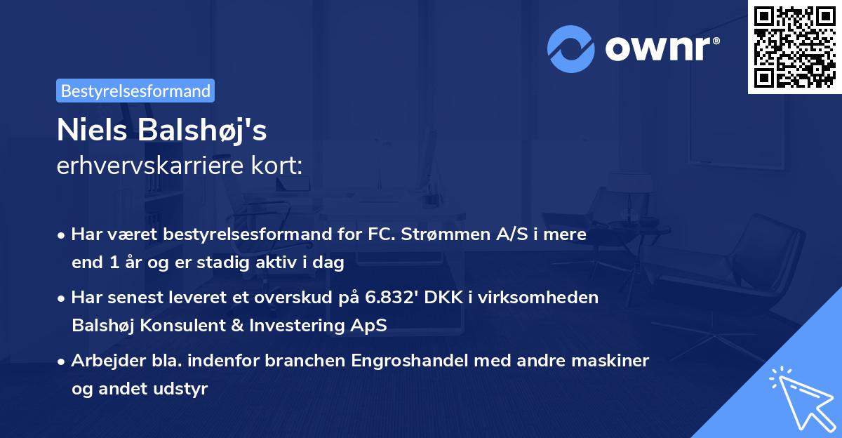 Niels Balshøj's erhvervskarriere kort
