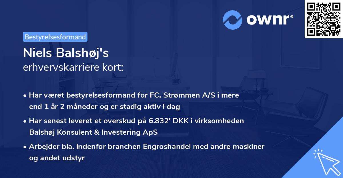 Niels Balshøj's erhvervskarriere kort