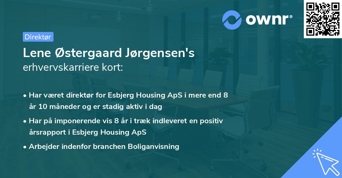 Lene Østergaard Jørgensen's erhvervskarriere kort