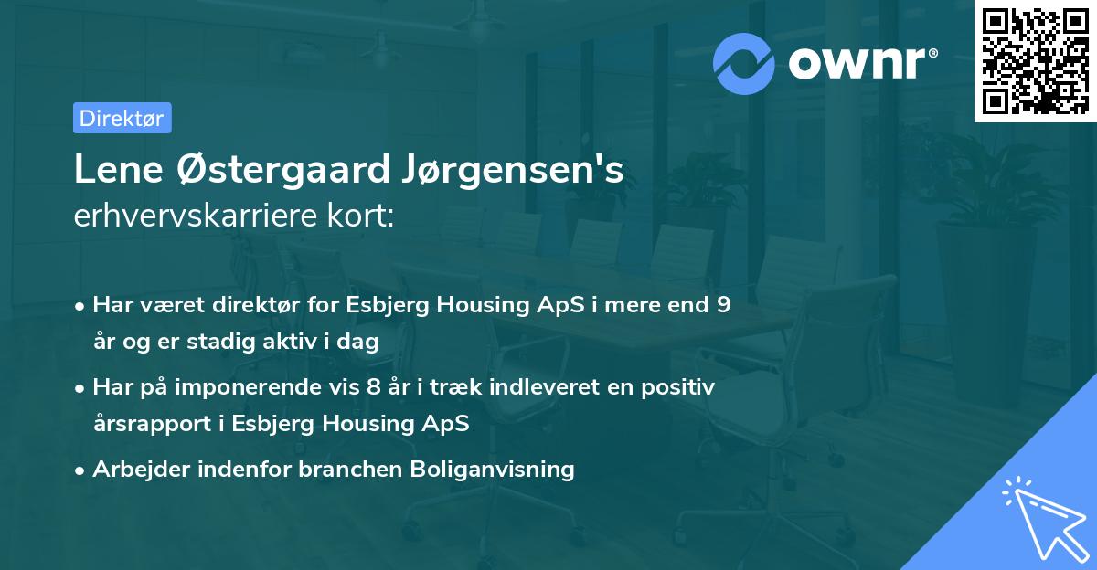 Lene Østergaard Jørgensen's erhvervskarriere kort