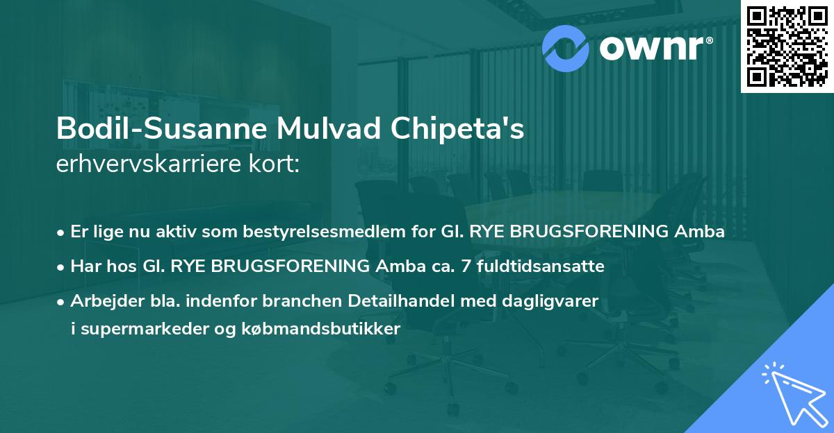 Bodil-Susanne Mulvad Chipeta's erhvervskarriere kort