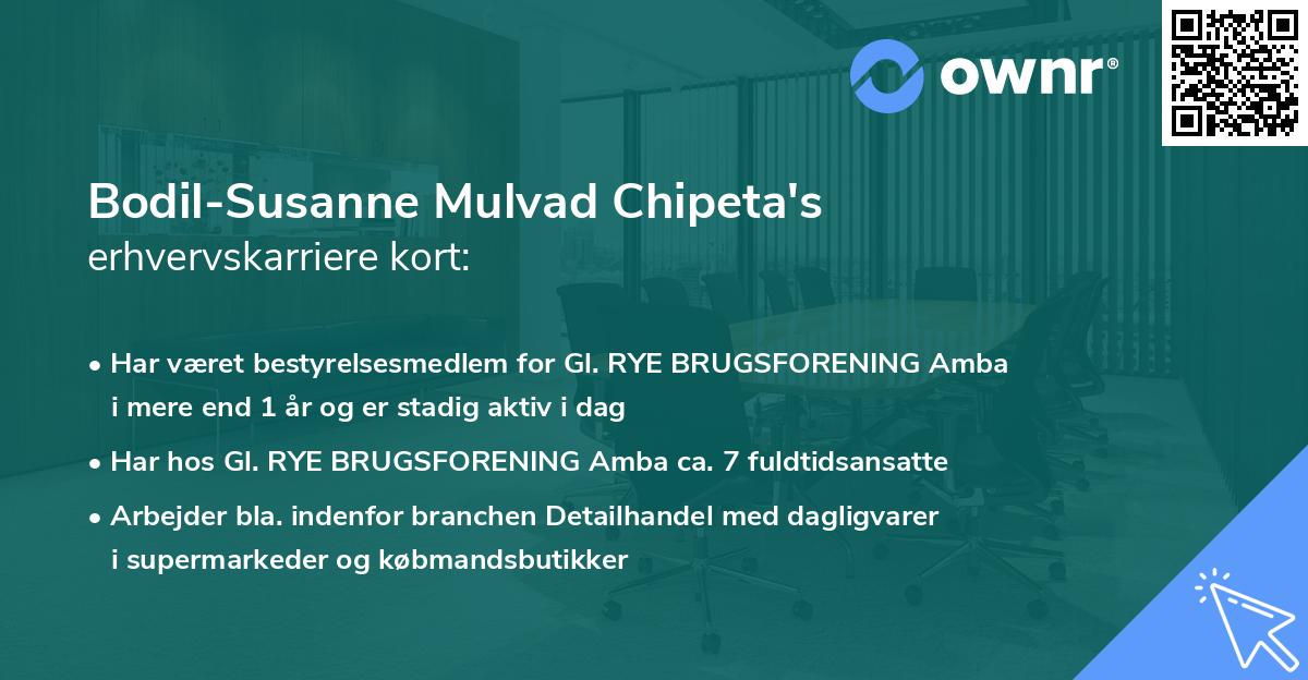 Bodil-Susanne Mulvad Chipeta's erhvervskarriere kort