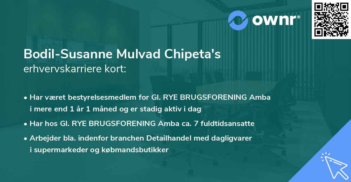 Bodil-Susanne Mulvad Chipeta's erhvervskarriere kort