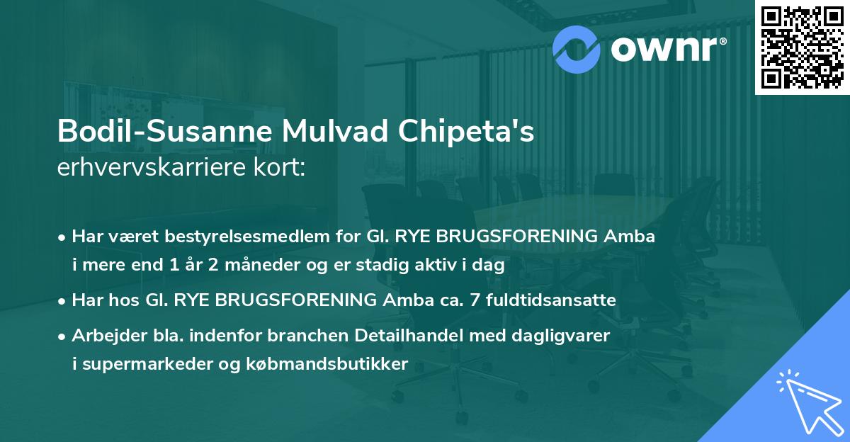 Bodil-Susanne Mulvad Chipeta's erhvervskarriere kort