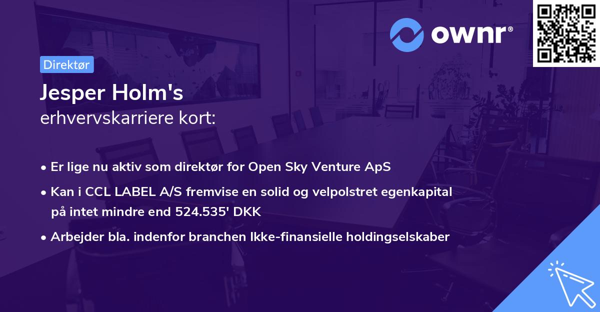 Jesper Holm's erhvervskarriere kort