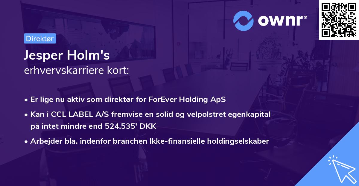 Jesper Holm's erhvervskarriere kort