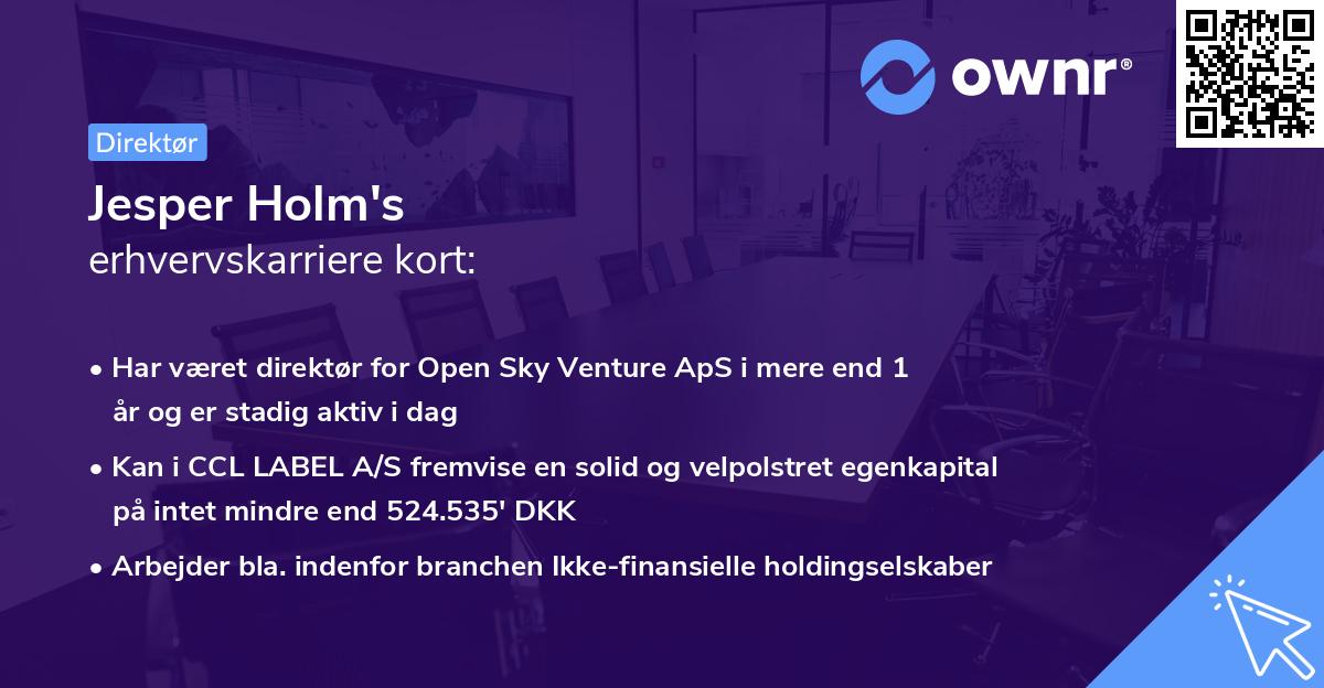 Jesper Holm's erhvervskarriere kort