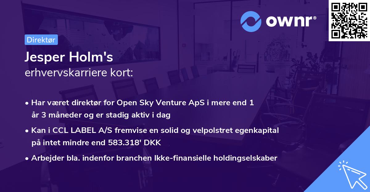 Jesper Holm's erhvervskarriere kort