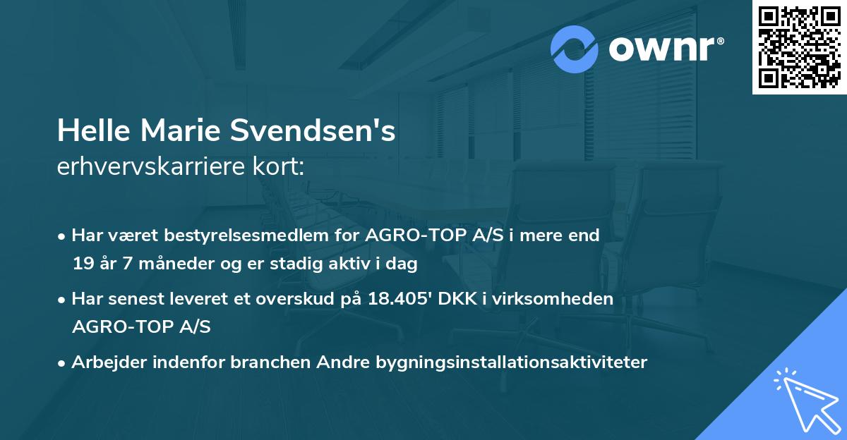 Helle Marie Svendsen's erhvervskarriere kort