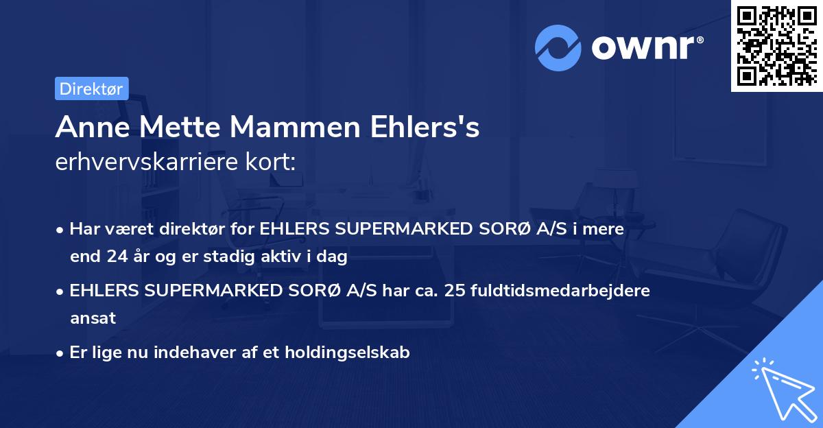 Anne Mette Mammen Ehlers's erhvervskarriere kort